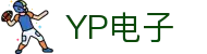 YP电子集团股份有限公司